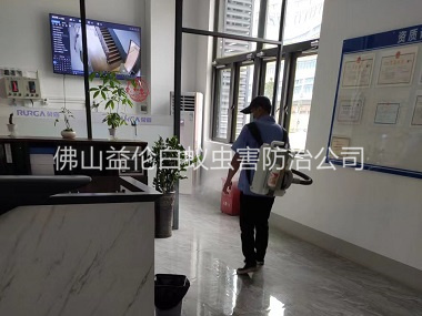 九江室內殺滅蚊蠅工程